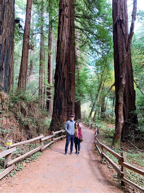 tours from san francisco to muir woods